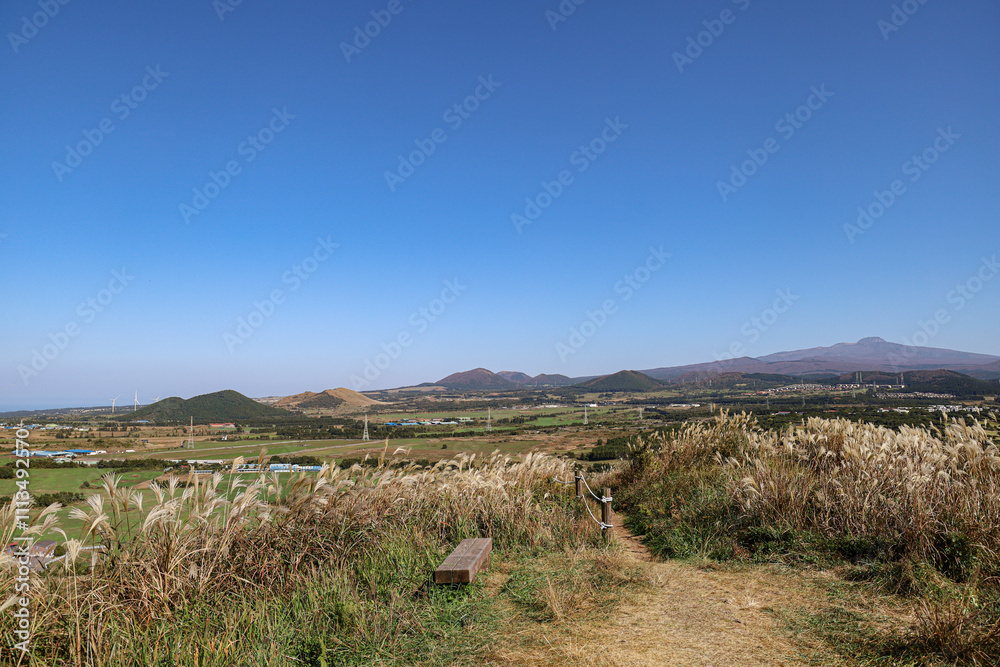 산 정상을 올라가는 숲길, 제주 제주시 한림읍 금악리 정물오름