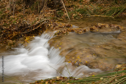 stream in the forest
