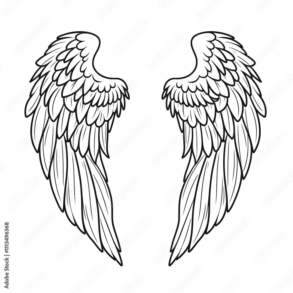 Vector outline wings on white background