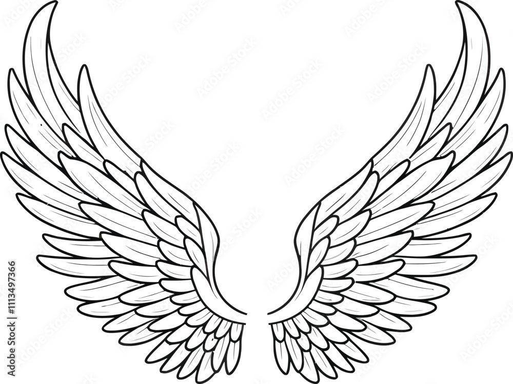 Vector outline wings on white background Vector outline wings on white background