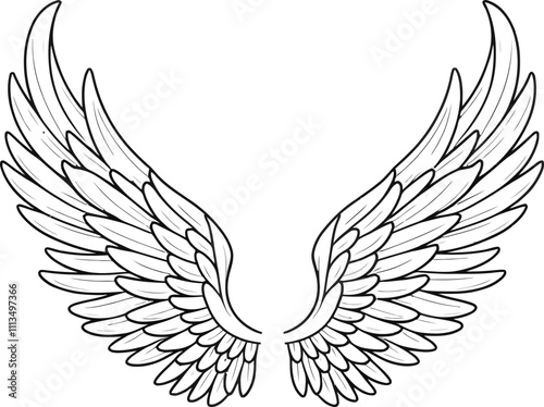 Vector outline wings on white background