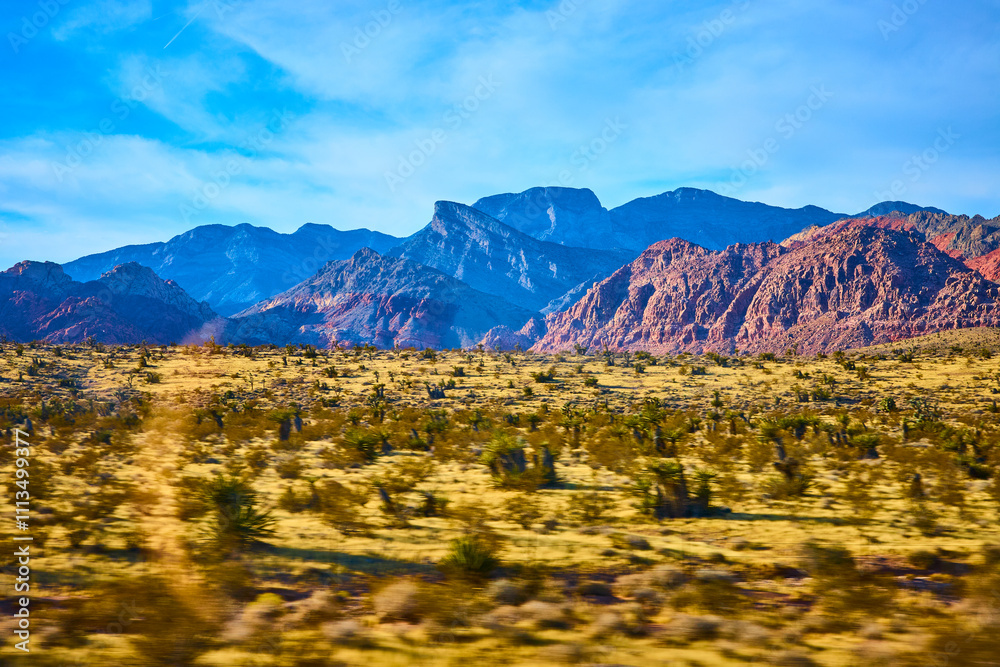 Red Rock Canyon Desert Vista with Mountain Range Eye-Level View Red Rock Canyon Desert Vista with Mountain Range Eye-Level View