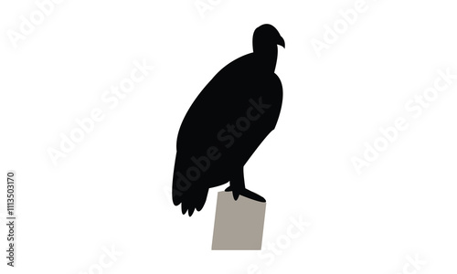 Vulture Bird Silhouette Design  And Vector Illustration. 