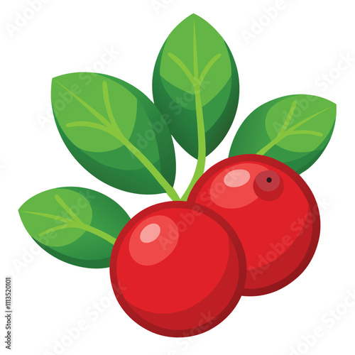 Fresh Lingonberry Isolated on White Background