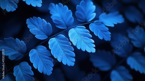 Vibrant blue fern leaves with intricate patterns and textures in nature photo