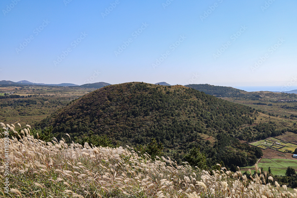 Naklejka premium 산 정상에서 바라보는 자연 풍경, 제주 제주시 한림읍 금악리 정물오름