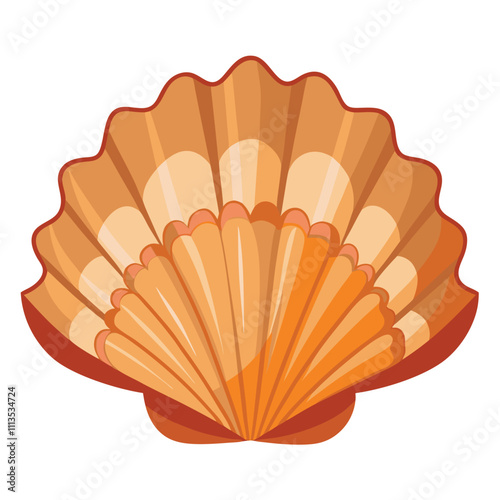 Natural Seashell Isolated on White Background.