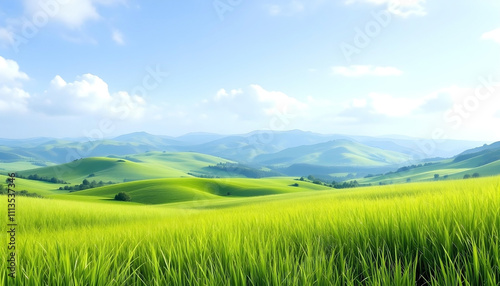 green field and mountains