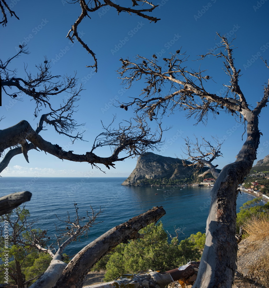 Russia, New World, Crimea. View of the bay in the resort village through the contrasting branches of a dead juniper tree. Russia, New World, Crimea. View of the bay in the resort village through the contrasting branches of a dead juniper tree.