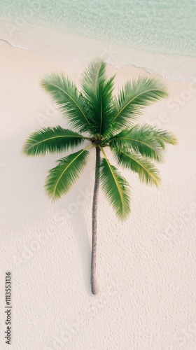 Serenity of a solitary palm tree by the calm beach with gentle waves and soft...