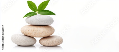 Relaxing spa arrangement with stacked stones and green leaves for wellness an...