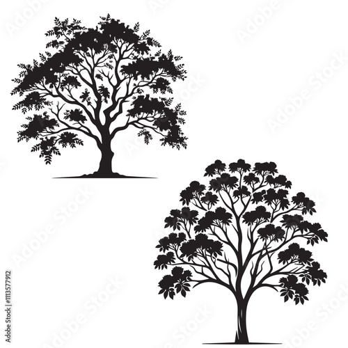 hackberry tree silhouette - vector image os hackbarry tree - wood icon 