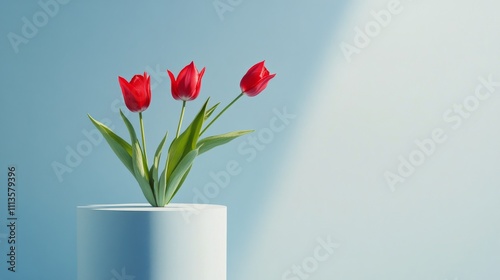 Bright red tulips arranged in a minimalist display against a light background