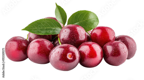 Wallpaper Mural A delightful arrangement of freshly picked plums showcases their rich purple hue and dewy texture. Leaves add a touch of green, emphasizing their natural freshness and appeal Torontodigital.ca