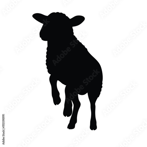 A sheep is standing on a white background