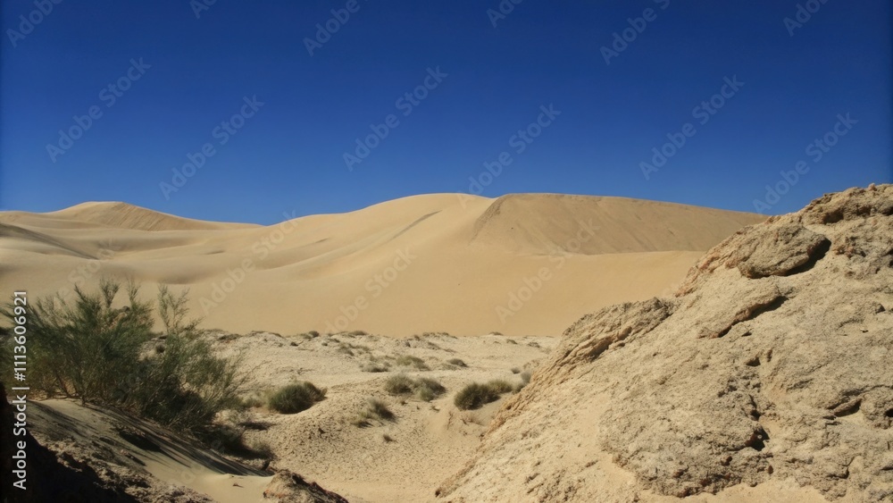 Sandy Desert Landscape Under a Blue Sky Sandy Desert Landscape Under a Blue Sky