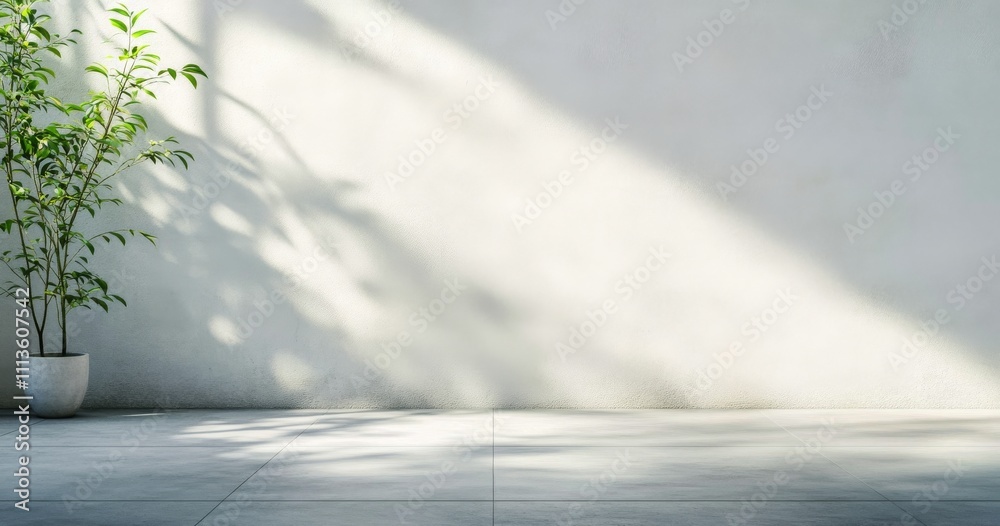 Simple potted tree casting shadows on a wall in a minimalist space during daylight hours Simple potted tree casting shadows on a wall in a minimalist space during daylight hours