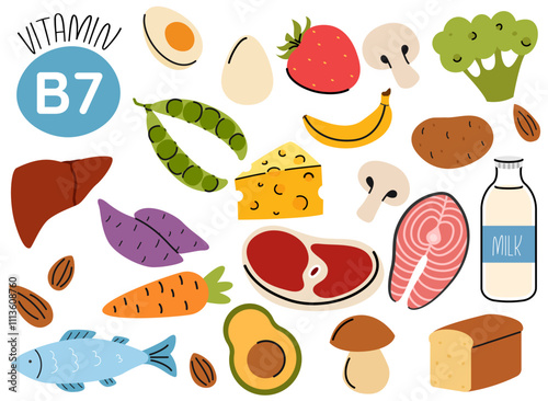 Set of vitamin B7 source dietetic products. Organic nutrition. Eggs, salmon, meat, dairy products, meat, vegetables
