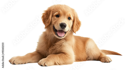A golden retriever puppy lies comfortably, showcasing its adorable features and lively spirit. The bright backdrop enhances its fluffy, golden fur, evoking feelings of joy