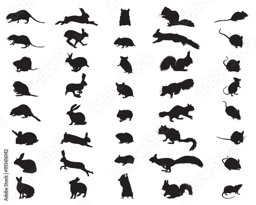 Black silhouettes of rodents on a white background				
