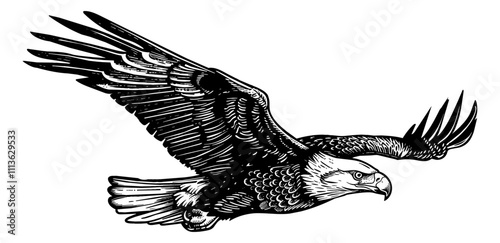 bald eagle fly engraving black and white outline