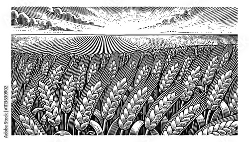 wheat field landscape engraving black and white outline
