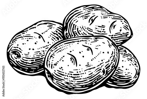 potato engraving black and white outline