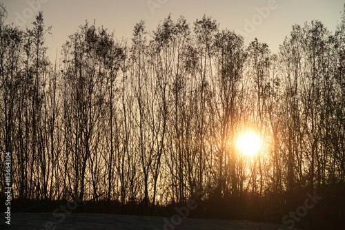 Po Valley fields field landscape panorama