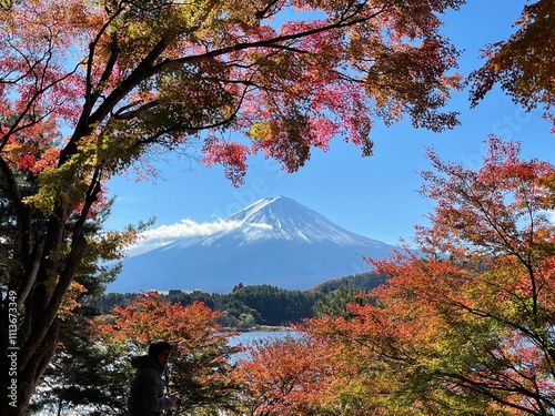 Let's go see some autumn leaves photo