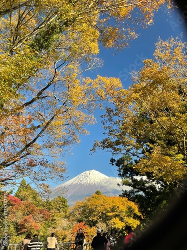 Let's go see some autumn leaves photo