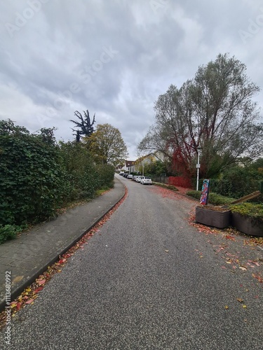 ein Gehweg im Herbst in Berlin Johannisthal photo