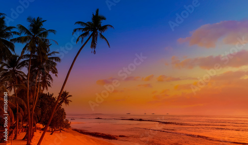 Summer with sunrise scene with  palm trees background as texture frame background