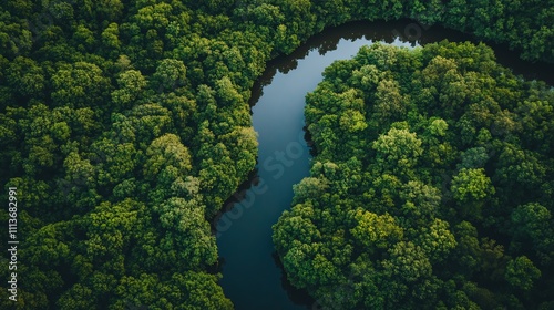 Aerial view of a winding river flowing through lush green forest.