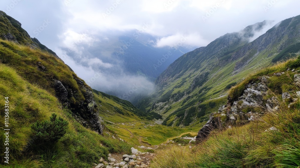 Misty mountain valley with grassy slopes and a winding trail. Misty mountain valley with grassy slopes and a winding trail.
