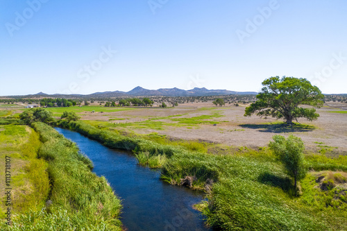 Tranquil river meanders through vibrant green landscapes under clear skies photo