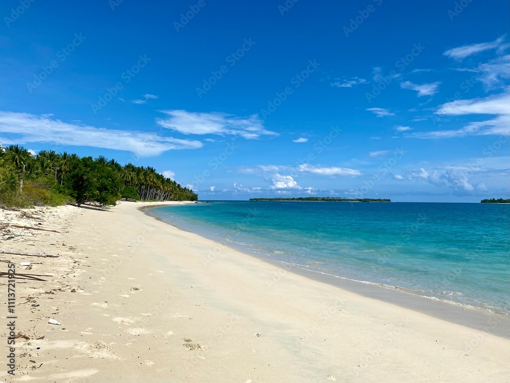 Beach travel vacation tropical paradise getaway on banggai island with idyllic pristine ocean crystal clear turquoise water lagoon. Pefect honeymoon destination background. Beach travel vacation tropical paradise getaway on banggai island with idyllic pristine ocean crystal clear turquoise water lagoon. Pefect honeymoon destination background.