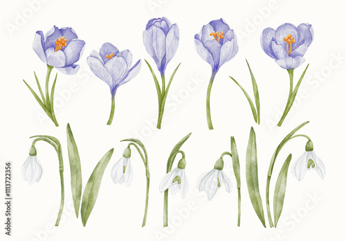 Watercolor Flower Design Set With Floral Elements.