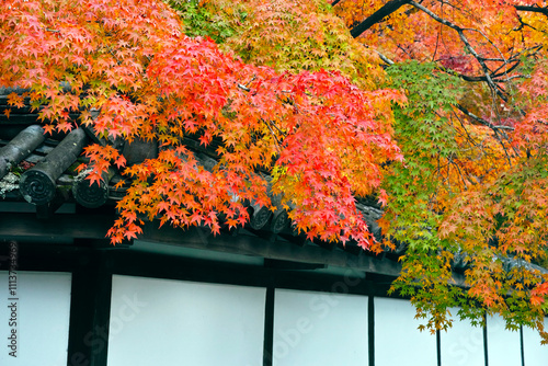 京都南禅寺の紅葉