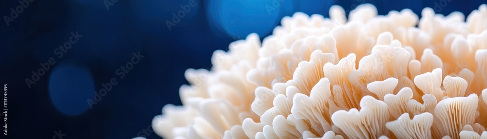 A close-up of coral with a soft, textured surface against a blue background, highlighting the intricate details of marine life. A close-up of coral with a soft, textured surface against a blue background, highlighting the intricate details of marine life.
