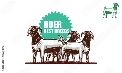 best boer goat breeding logo, silhouette of great ram from organic farm vector illustrations