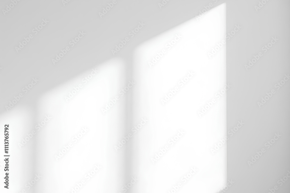 shadows on the white wall shadows on the white wall