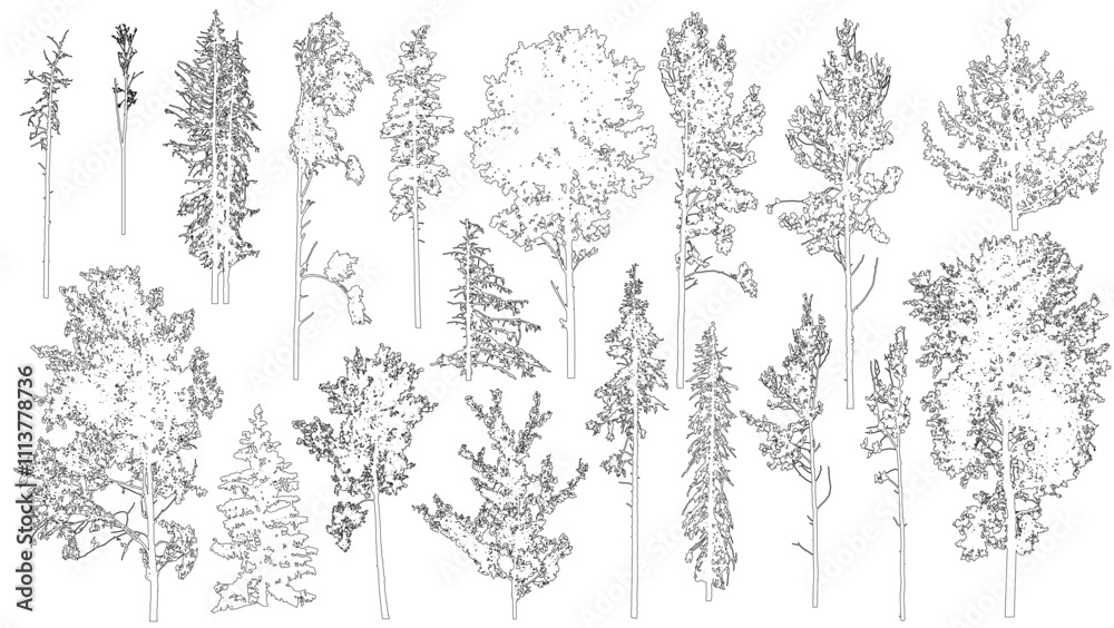 Set of coniferous and deciduous trees for architecture and landscape design, line drawing, contour. Vector illustration