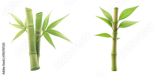 Obraz na płótnie 3d render bamboo shoot isolated on transparent background Cartoon Illustration in plastic style w salonie