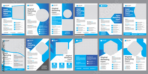 Digital marketing flyer, corporate poster template, business flyer background