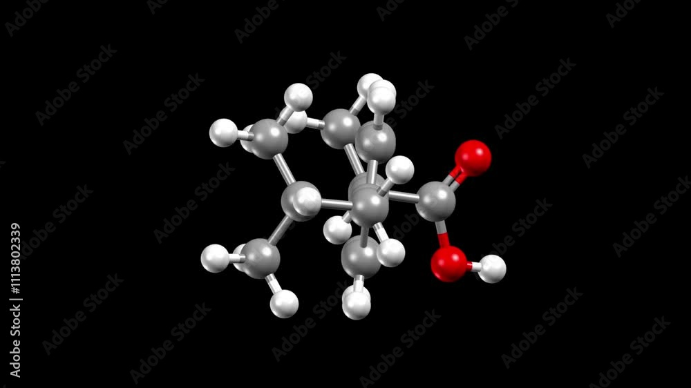 Structure of ibuprofen, a common non-steroid anti-inflammatory drug. Animated 3D ball-and-stick and space-filled models, black background. Structure of ibuprofen, a common non-steroid anti-inflammatory drug. Animated 3D ball-and-stick and space-filled models, black background.
