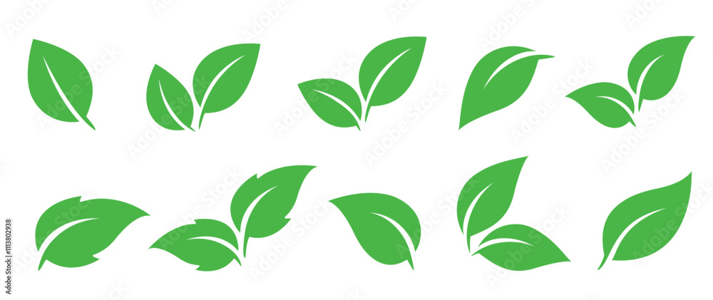 Green leaves icons, branches silhouettes Green leaves icons, branches silhouettes