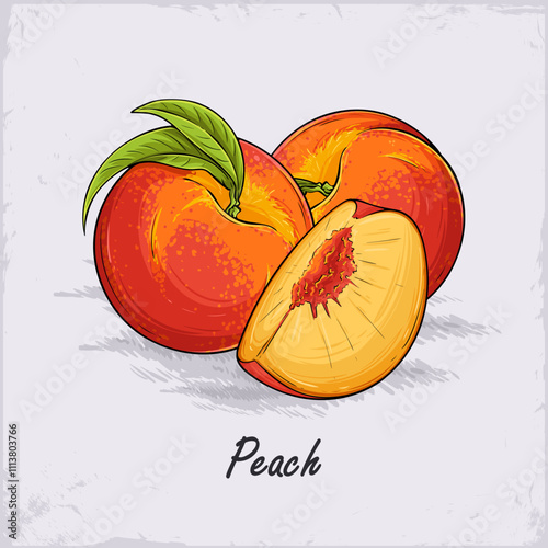 Hand drawn set of full and sliced fresh juicy tropical peaches with green leaves on top ready to eat