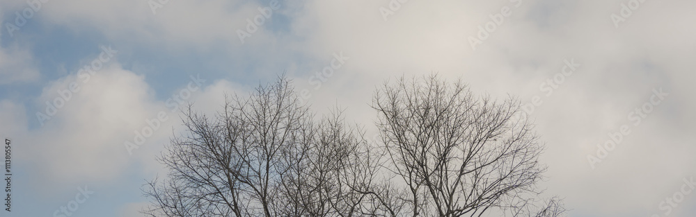 landscape and travel concept with sunrise and layer of mountain and mist with forest on morning landscape and travel concept with sunrise and layer of mountain and mist with forest on morning
