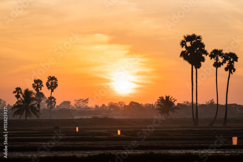 Obraz na płótnie sugar palm trees on the sunrise background w salonie