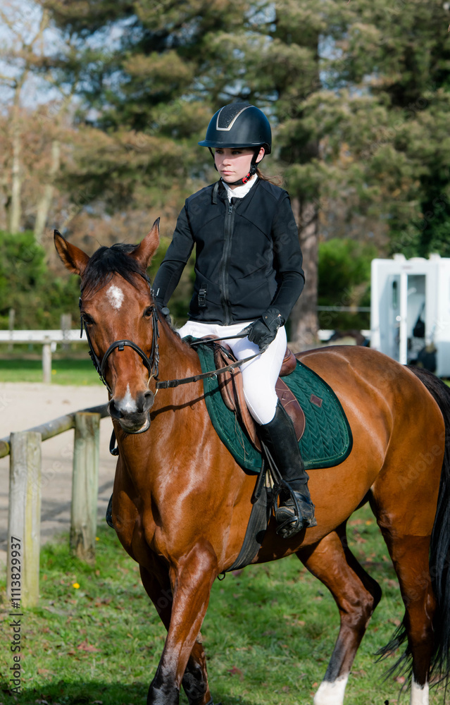 Close-up of a beautiful young rider and her mare in competition attire Close-up of a beautiful young rider and her mare in competition attire